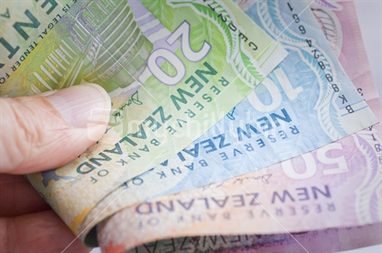 NZ money fan - held in hand
