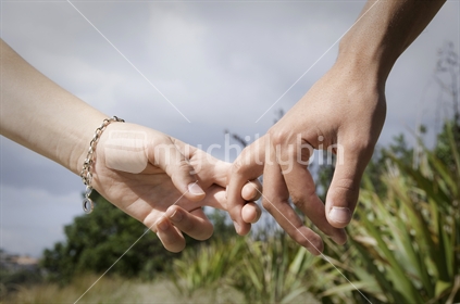 Couple holding hands, NZ native flax in the background