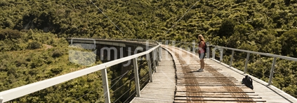 Hapuawhenua Viaduct, Ohakune Old Coach Rd, Tongariro National Park (High ISO)