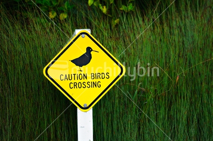 Birds Crossing  Road Sign