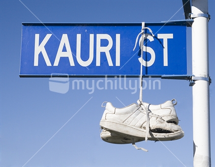 Kauri Street, Road Sign, New Zealand