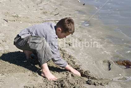 Digging in the sand
