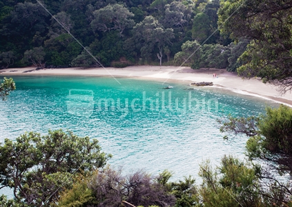 A couple drying down after swimming in lovely clear water, at secluded Whale Bay; surrounded by native bush; North of Auckland, New Zealand 