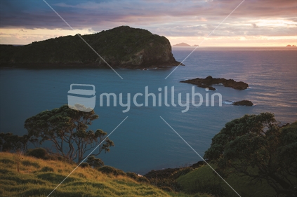 Tutukaka headland at sunrise, Northland, New Zealand.
