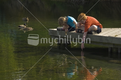 Children 12 and 8 years look at ducks at Northbrook Wetlands, Rangiora, New Zealand