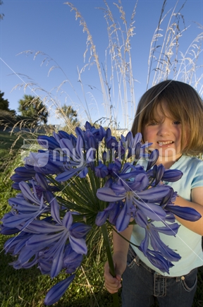 Young Kiwi girl (3 years) with agapanthus