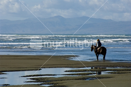 Woman on horse riding on beach and gazing out to sea