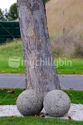 Tree erection
