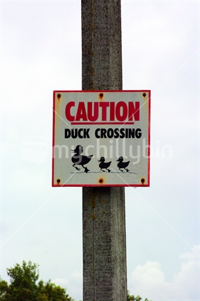 Ducks crossing sign