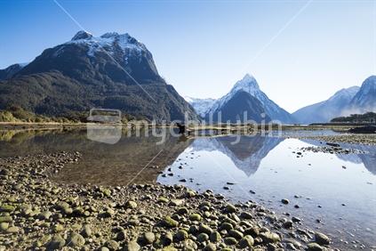 Milford sound shore on calm sunny day