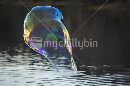 colourful bubble floating over lake wanaka