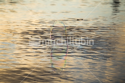 colourful bubble floating on lake wanaka