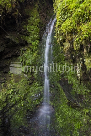 Small lush waterfall