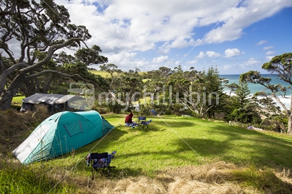 campsite view in Northland