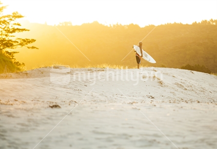 surfer at sunset, Pakiri beach