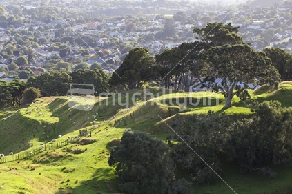 Slopes of One Tree Hill, Auckland