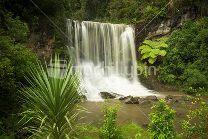 Mokoroa Waterfall, Waitakere