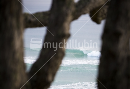 Surf wave northland beach