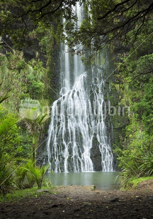 Karekare waterfall West Auckland