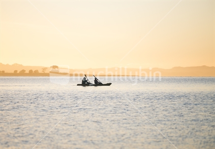 Kayakers on Auckland harbour