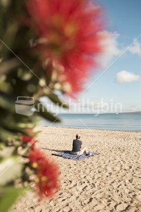 Woman sunbathing in Auckland with red pohutukawa in foreground