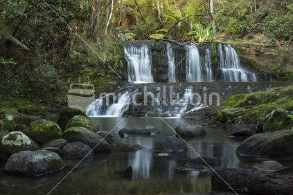 Mokoroa Waterfall And Rainforest in Auckland 