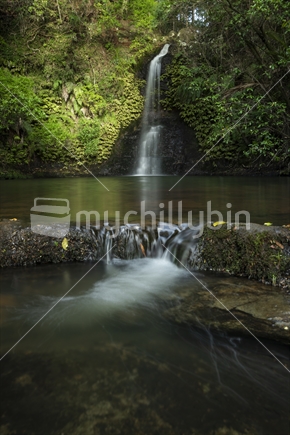 Scenic Auckland waterfall
