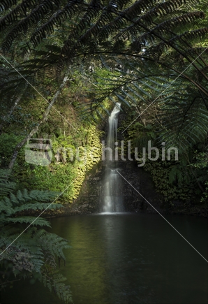 Auckland Coast Waterfall