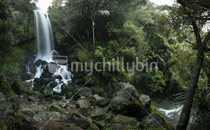 South Auckland Waterfall and Forest