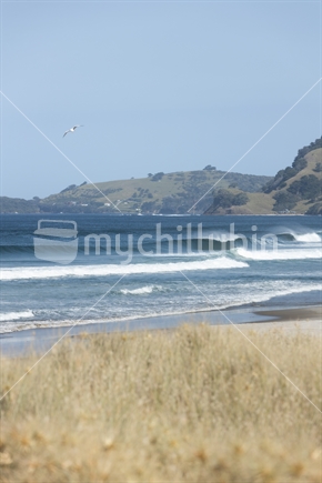 Surf and beach scene Northland