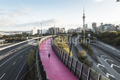 One man walking on pink cycleway in Auckland cuty