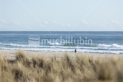 Surf beach and waves, Northland