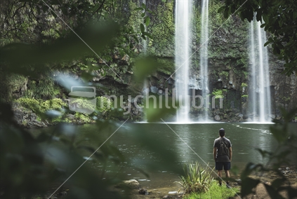 Man looking at Whangarei Waterfall