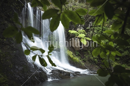 Waterfall in Waitakere Ranges, Auckland