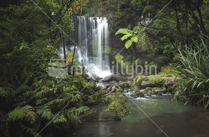 Waterfall, Goldie Bush, Waitakere Ranges, Auckland
