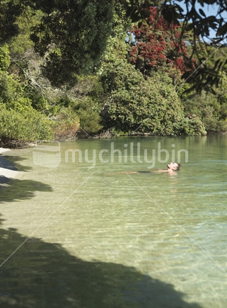 Swimming in clear water, Northland, New Zealand