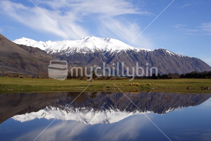 Reflection on small lake in west Canterbury, New Zealand