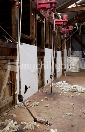 sheep shearing shed, detail