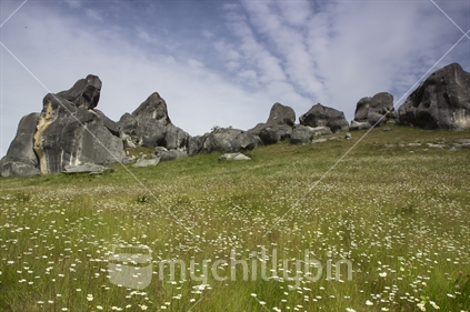 Castle hill limestone rock formations, amongst flowers, Canterbury