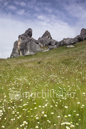 Castle hill rock formations, canterbury