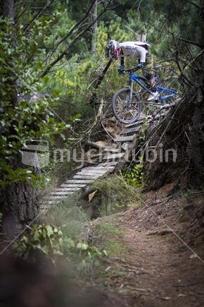 Mountain Biker descending ladder at Mt Hutt bike park