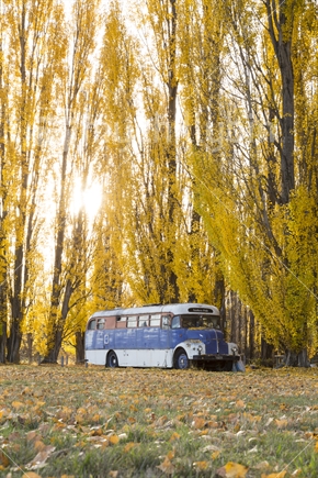 House bus and camp sheltered below a row of Autumn trees, Albert Town, South Island (see also 100151_715, 100151_716 , 100151_720)