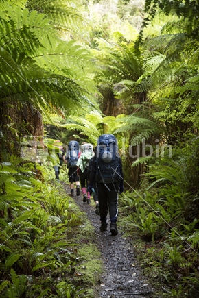Trampers hiking humpridge track, Fiordland