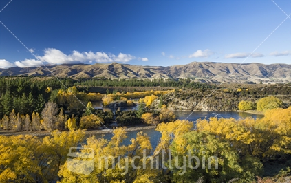 Autumn colours overlooking Clutha river near Wanaka