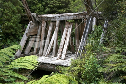 Remnants of the Kauri Logging Industry at the Pinnacles, Coromandel Peninsula.