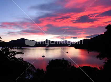 Dawn overlooking Moetapu Bay, Mahau Sound, Pelorus Sounds, South Island