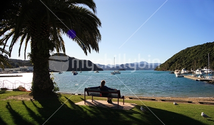 Enjoying the harbour view, Picton, New Zealand