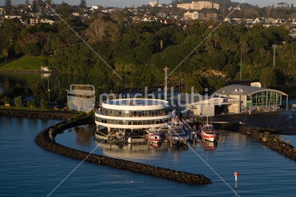 Mechanics Bay, Auckland, aerial shot early morning