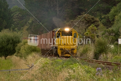 Train traveling through NZ countryside