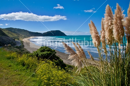 Tatapouri Beach, Gisborne, East Coast, North Island, New Zealand